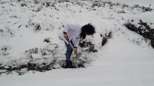 La nieve aísla a escuela rural en la Región Sur