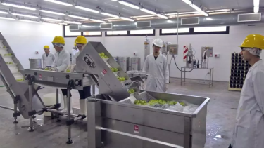 La UNRN en 2018, inauguró una planta piloto de producción de sidra. Foto gentileza