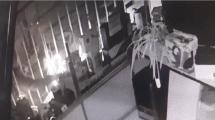 Imagen de Video: buscan por cámaras de seguridad al grupo de boqueteros del centro de Neuquén