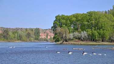 El joven se ahogó en la Isla Jordán y fue arrastrado por la corriente. (Foto: Archivo Florencia Salto)