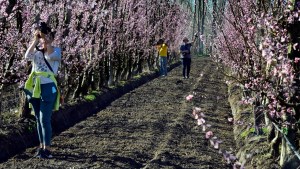 Río Negro renuevan la oferta turística de primavera con un lanzamiento desde Regina