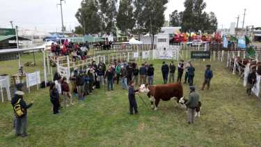 Premios a la excelencia en la Expo de Choele