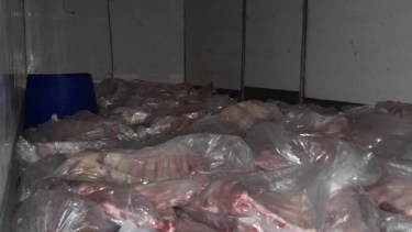 Unos 2.700 kilos de carne vacuna era transportadas en forma ilegal y fueron decomisados. (Foto gentileza)