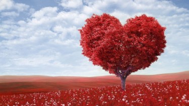 El Día Mundial del Corazón busca concientizar sobre los problemas cardíacos. 