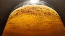 Imagen de Kombucha: la bebida fermentada que beneficia a nuestro organismo