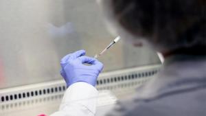 Cuáles son los síntomas y cómo se contagia la Legionella, tras el brote de neumonía en Tucumán