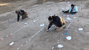 El equipo del museo de Ciencias Naturales de la UNCo trabajando en el campo. (FOTO: Gentileza)