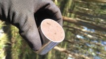 Imagen de Las plantaciones forestales almacenan carbono orgánico