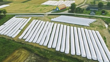 El Banco Central sumó más de US$ 1.000 millones desde la implementación del dólar soja