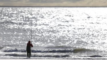 Bahía San Blas abrió así la temporada de pesca: cuánto sale ir al paraíso del pescador
