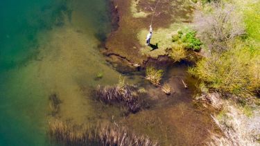 En Aluminé los guías habilitados por el Ministerio de Turismo de la Provincia del Neuquén, ofrecen dos modos de pesca: embarcada y de vadeo. Fotos gentileza Turismo Aluminé.