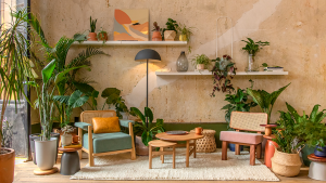 Qué hay que saber de las plantas para decorar interiores