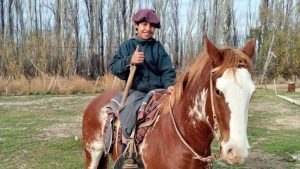 Perdió su caballo, pero el pequeño jinete de Cervantes cosechó inmensa solidaridad