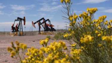 La firma tiene interés en avanzar con la exploración o proyecto piloto sobre la ventana de shale oil de la formación. (Foto: Matías Subat)