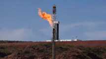 Imagen de Qué dice la reglamentación del nuevo Plan Gas: cronograma y precios