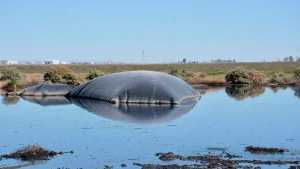 Las piletas de descarga cloacal en la meseta de Neuquén también tienen hidrocarburos