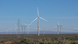 Renovables: el control cambiario condiciona el desarrollo de nuevos proyectos
