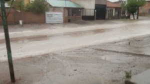 Cómo quedó Rincón de los Sauces tras la tormenta y caída de granizo 