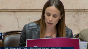El discurso de la diputada de Neuquén que citó a Wos durante el debate en el Congreso