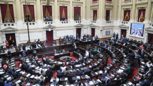 Diputados: funcionarios y especialistas evaluaron proyecto sobre seguridad del paciente y tecnologías sanitarias