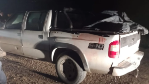 Prisión preventiva para cinco hombres que mataron a dos yeguas en la zona rural de Roca