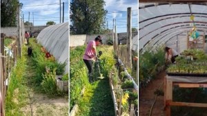 Destrozos en una huerta comunitaria de una escuela de Neuquén 