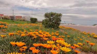 Pronóstico de lunes: la semana comienza cubierta de nubes