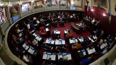 El proyecto fue aprobado por unanimidad en el senado bonaerense. Foto: gentileza.
