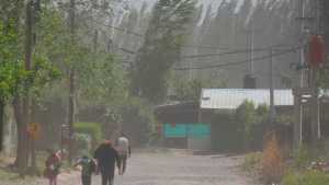 Cómo es el panorama del servicio eléctrico en Río Negro tras el temporal de viento?