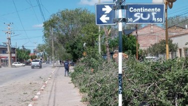La tasa se aplicará para cubrir el costo operativo de levantar los restos de podas que son dejados por los vecinos. 