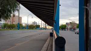 Transporte público: por el Día del Trabajador no hay colectivos en Roca, pero sí en el Alto Valle
