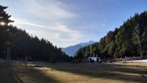 Denunciaron a personal de Parques Nacionales de destruir un bosque nativo en Traful