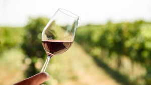 Cuatro bodegas argentinas entre las 50 mejores del mundo