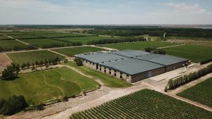 Ruta del vino de Neuquén: podrás ir a las bodegas, dormir en un hotel, jugar al golf y al polo