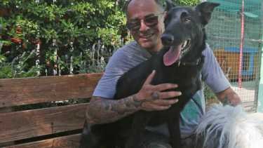 Los perros y nosotros: conocé el origen de las razas y sus por qué