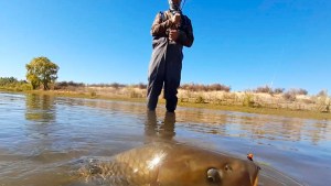 Pesca de carpa, la actividad deportiva que busca traccionar turistas en Roca
