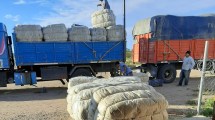 Imagen de Buenos precios arrojan las primeras ventas de lana de la zafra 2022/23 en la Región Sur
