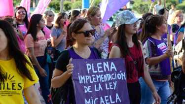 El gobierno pretende modificar la Ley Micaela. Foto: archivo