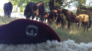 Denunciaron a un jefe policial de Roca por quedarse con una camioneta donada