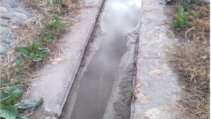 Suspendieron las clases en una primaria de Neuquén por tener aguas servidas y falta de presión de agua 