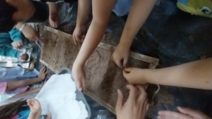 Niñas y niños plantarán árboles nativos en el predio de la UNCo de Cipolletti
