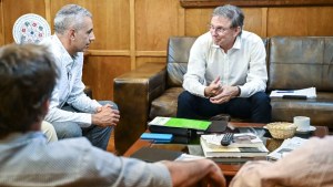El Gobierno rionegrino solicitó medidas para mejorar el potencial exportador de la pera