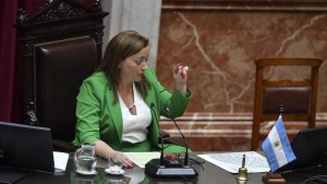 Consejo de la Magistratura: tensión en Diputados por la decisión que tomó Cecilia Moreau