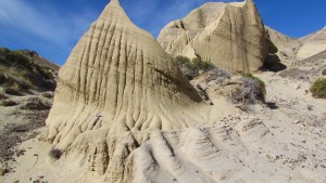 Cuáles son las pruebas de que hubo monos en la Patagonia hace 17 millones de años