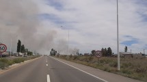 Imagen de Vuelven a arder los pastizales de Senillosa y no descartan que haya sido algo intencional