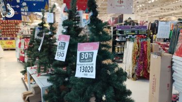 Los precios de los árboles de Navidad duplicaron su precio. Foto: Yamil Regules