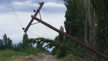 Ramas, árboles y postes del tendido eléctrico cayeron por la tormenta en la región. (Foto gentileza)