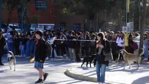 Así fue el día después de la agresión en una escuela secundaria de Roca