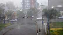 Imagen de ¡A prepararse! Se vienen las tormentas, la humedad y el calor en Río Negro y Neuquén