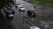 Imagen de Alerta por tormenta para gran parte de Río Negro este jueves: horarios y zonas afectadas